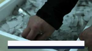 Yle Uutiset Lappi