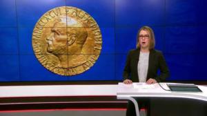 Yle Nyheter TV-nytt 17.55