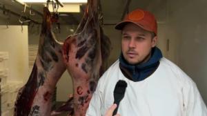 Yle Oddasat
