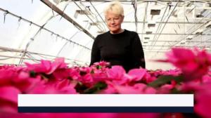 Yle Uutiset Häme