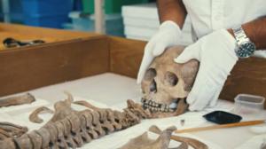 Historia: Mayojen salaisuudet
