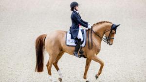 Helsinki Horse Show