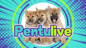 Pentulive