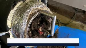 Yle Uutiset Häme