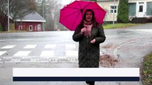Yle Uutiset Häme