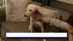 Yle Uutiset Uusimaa