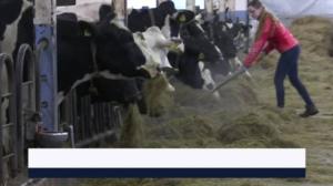 Yle Uutiset Keski-Suomi ja Etelä-Savo