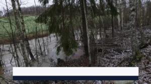 Yle Uutiset Pirkanmaa