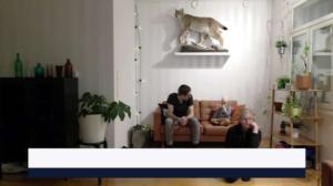 Yle Uutiset Pohjois-Suomi