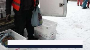 Yle Uutiset Pirkanmaa