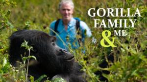 Gorillaperheen matkassa