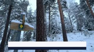 Yle Uutiset Häme