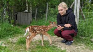 Rakkaudesta villieläimiin