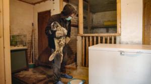 Rakkaudesta villieläimiin