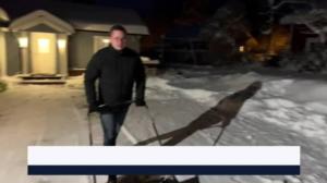 Yle Uutiset Häme