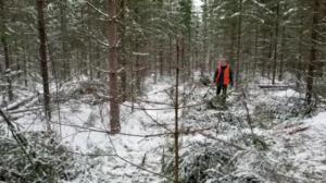 Yle Uutiset Keski-Suomi ja Etelä-Savo