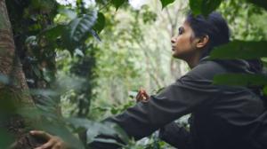 Luonto, ihminen ja taide