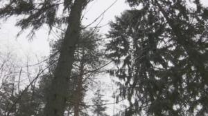 Yle Uutiset Kaakkois-Suomi