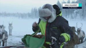 Yle Oddasat