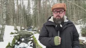 Yle Uutiset Häme