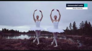 Yle Oddasat