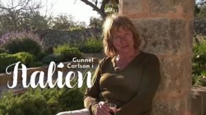 Gunnel Carlson Italiassa