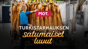 MOT
