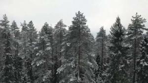 Yle Uutiset Pohjois-Suomi