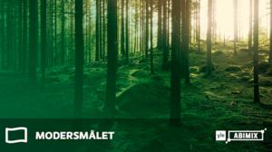 Yle Nyheter