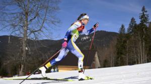 Hiihdon maailmancup