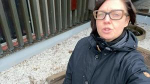 Yle Uutiset Uusimaa