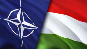 A-studio