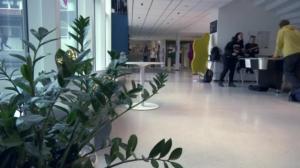 Yle Uutiset Keski-Suomi ja Etelä-Savo