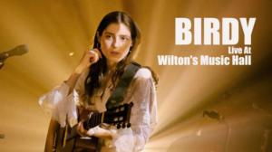 Birdy