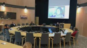 Yle Oddasat