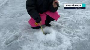 Yle Oddasat