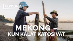 Mekong - kun kalat katosivat