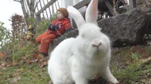 Eläinystäväni
