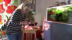 Yle Uutiset Uusimaa