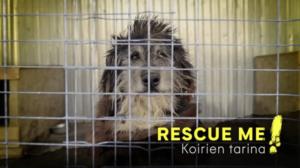 Rescue Me!
