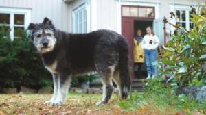 Rescue Me!