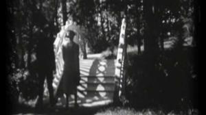 Vuosirenkaita
