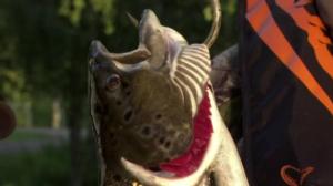 Yle Uutiset Lappi