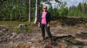 Yle Uutiset Lappi