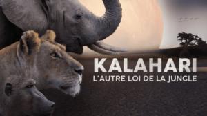 Avara luonto: Kalaharin klaanit