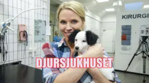 Pieni eläinsairaala