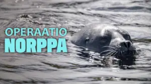 Operaatio Norppa
