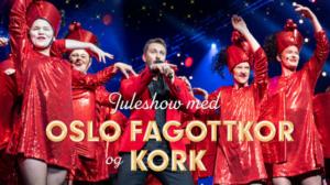 Oslon gaykuoron joulushow