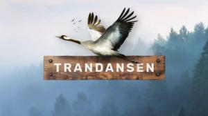 Trandansen