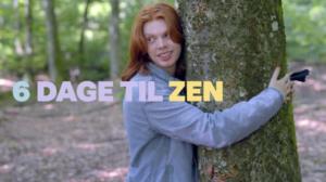 6 päivää zeniin